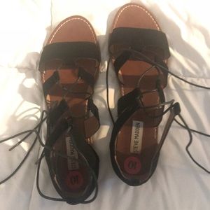 Steve Madden gladiator sandals